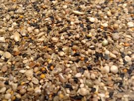 Mieszanka dzikich nasion bez rzepiku, 1 kg